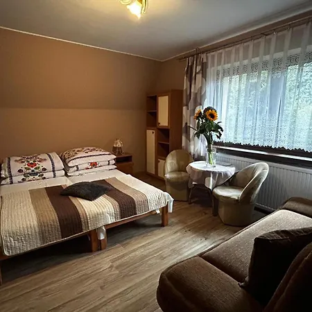 Pokoje Goscinne U Basi Bukowina Tatrzańska Exterior foto