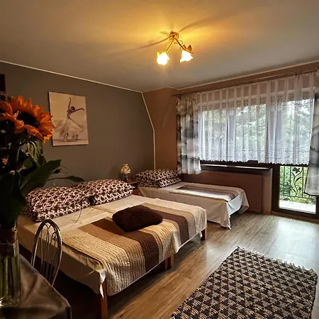 Pokoje Goscinne U Basi Bukowina Tatrzańska Exterior foto