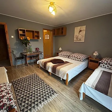 Pokoje Goscinne U Basi Bukowina Tatrzańska Exterior foto